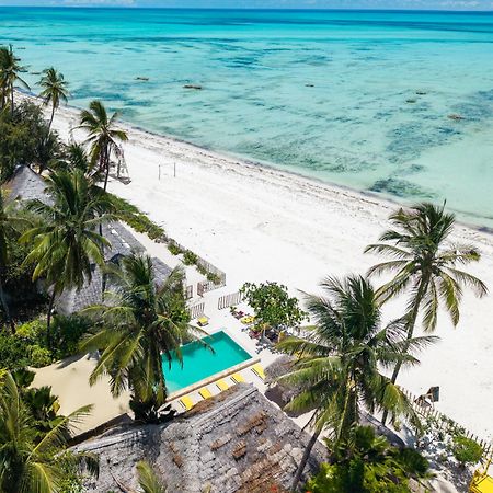 Pili Pili Palm Beach Jambiani  Ngoại thất bức ảnh