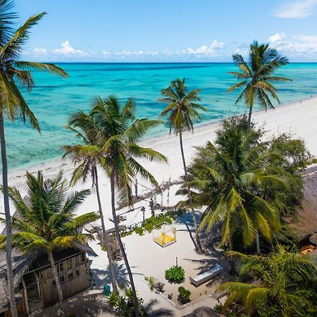 Pili Pili Palm Beach Jambiani  Ngoại thất bức ảnh