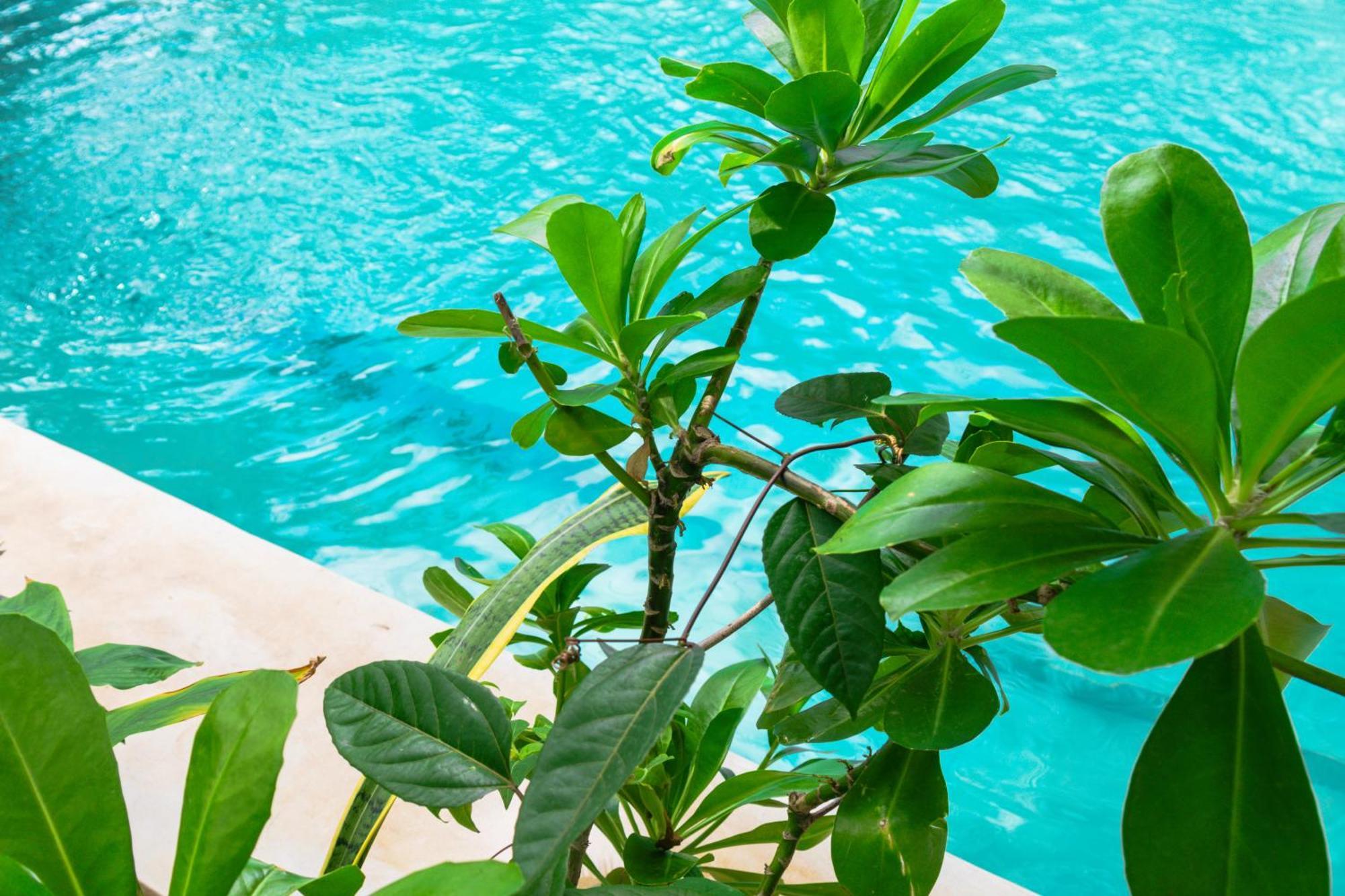 Pili Pili Palm Beach Jambiani  Ngoại thất bức ảnh