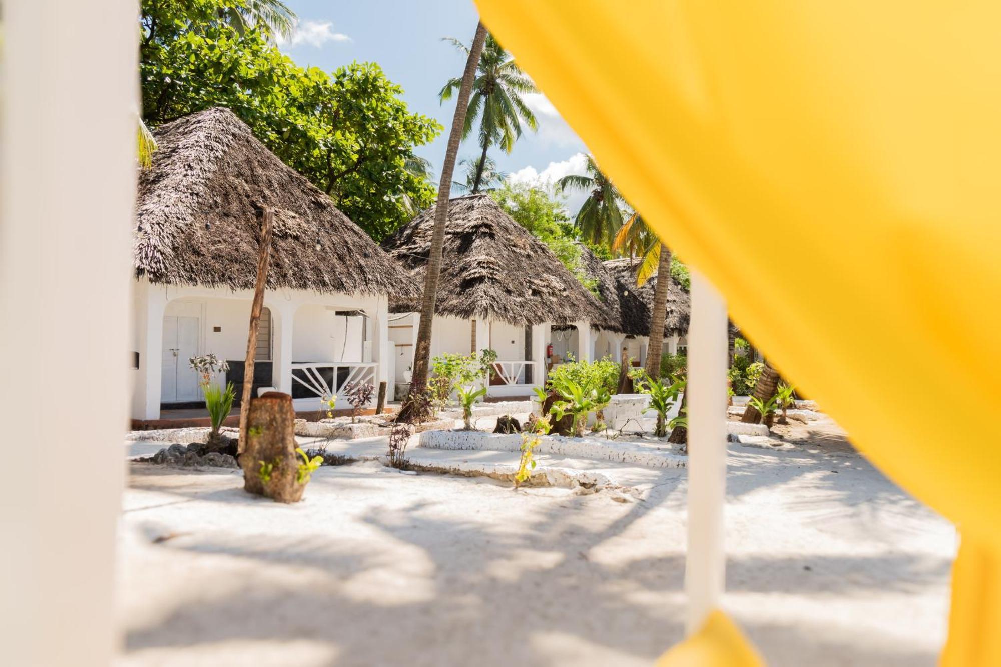Pili Pili Palm Beach Jambiani  Ngoại thất bức ảnh