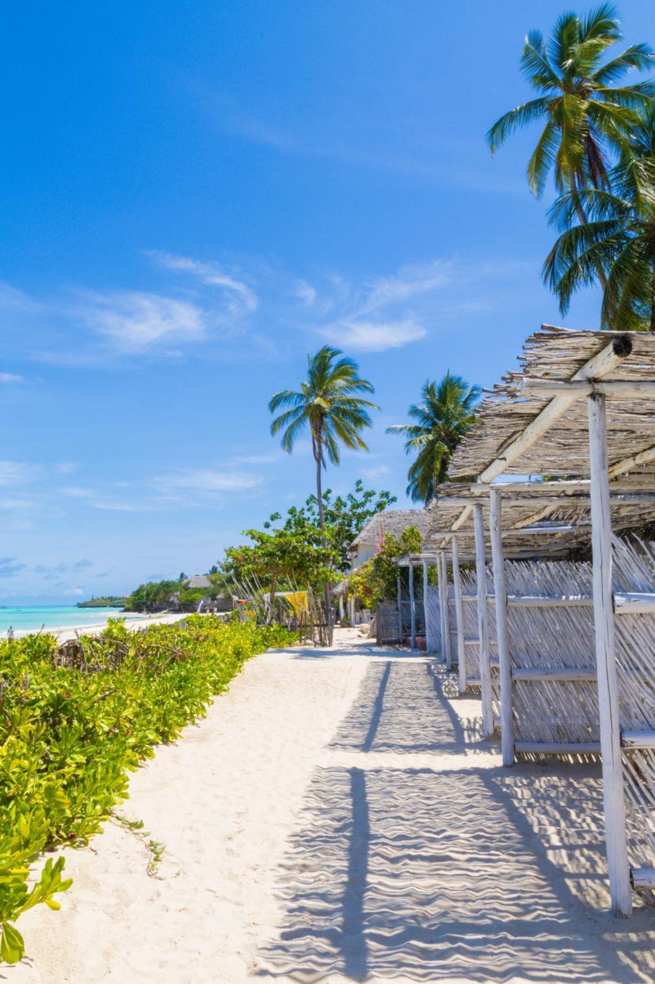 Pili Pili Palm Beach Jambiani  Ngoại thất bức ảnh