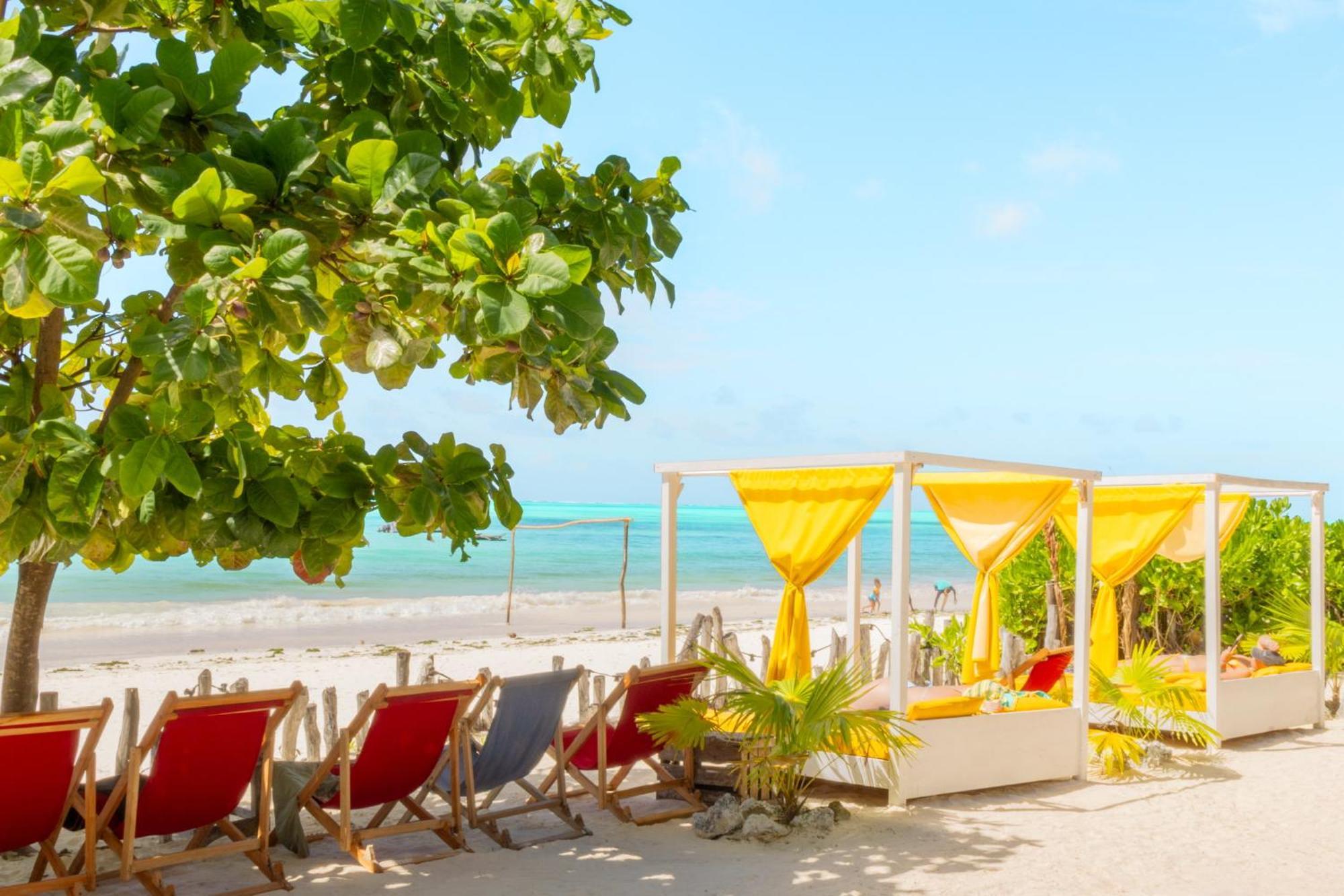Pili Pili Palm Beach Jambiani  Ngoại thất bức ảnh