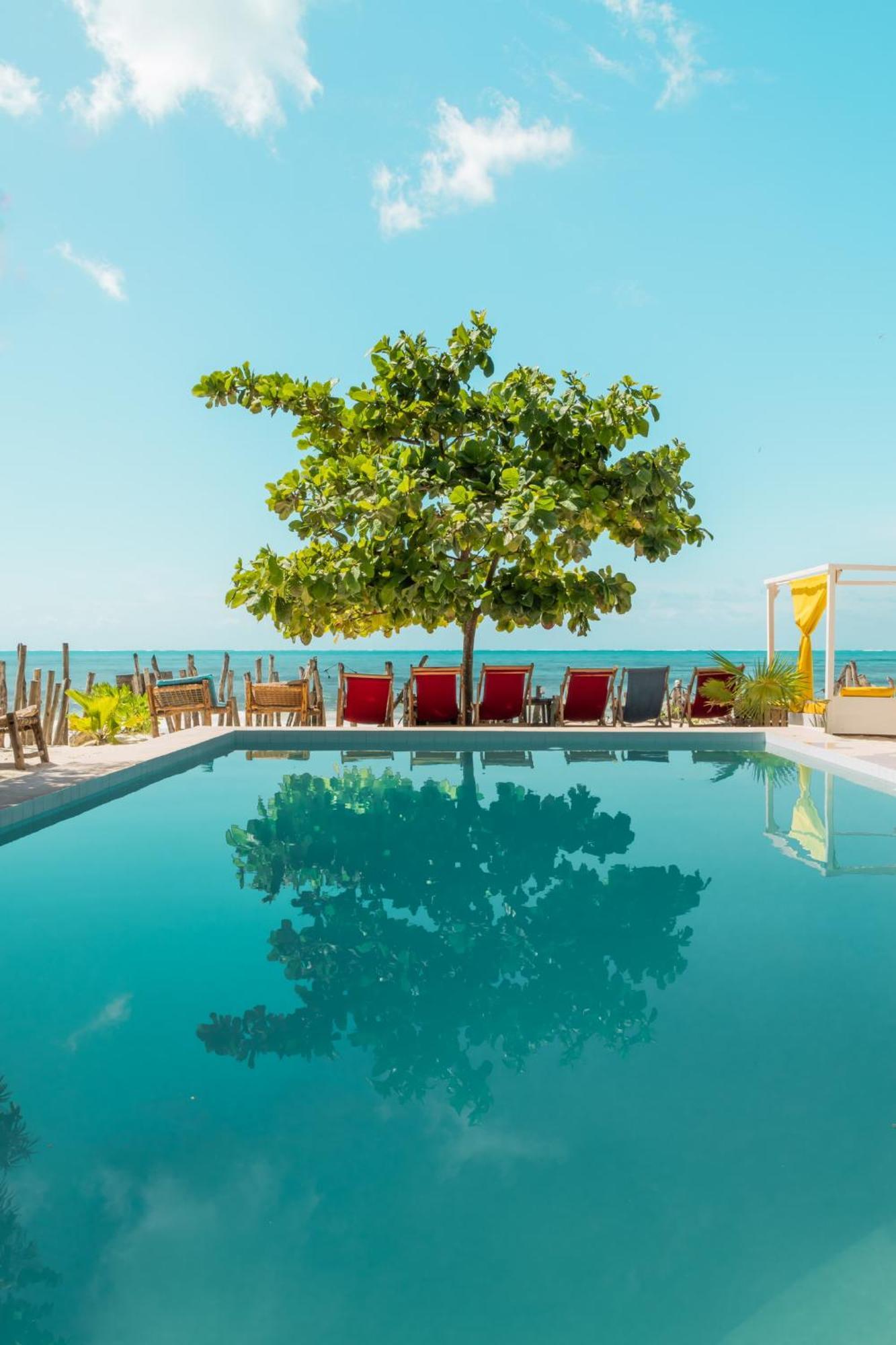 Pili Pili Palm Beach Jambiani  Ngoại thất bức ảnh