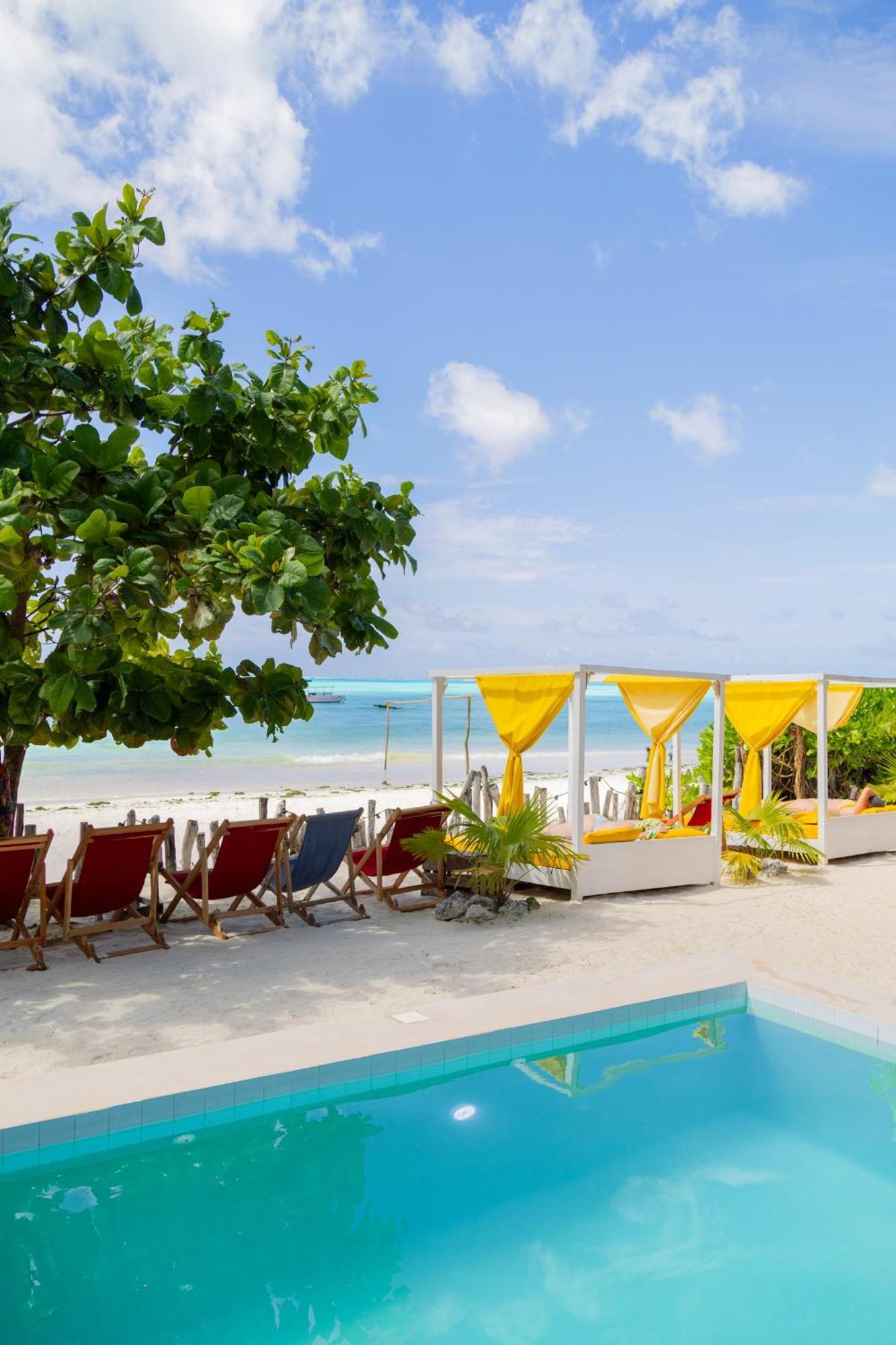 Pili Pili Palm Beach Jambiani  Ngoại thất bức ảnh