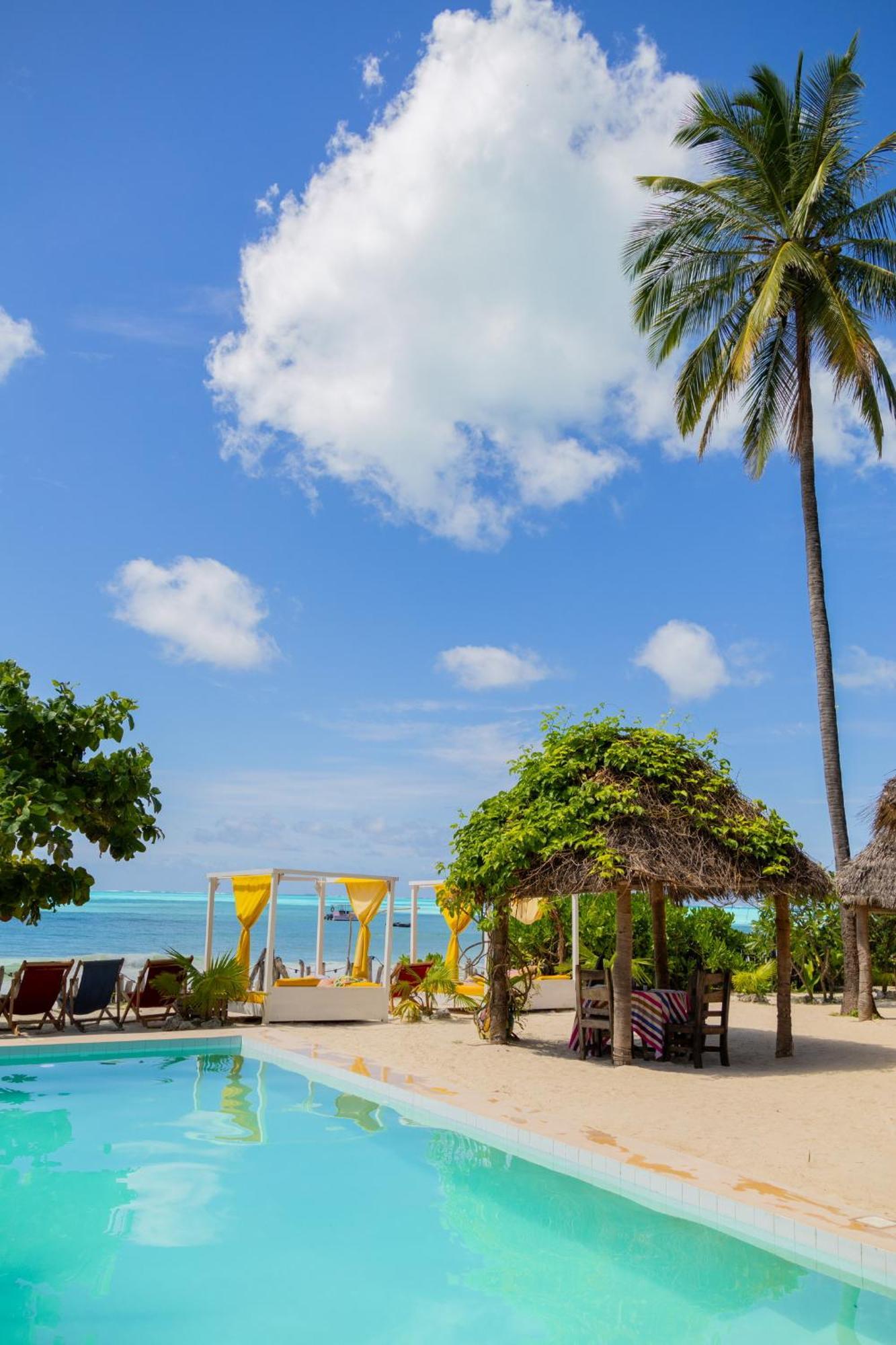 Pili Pili Palm Beach Jambiani  Ngoại thất bức ảnh