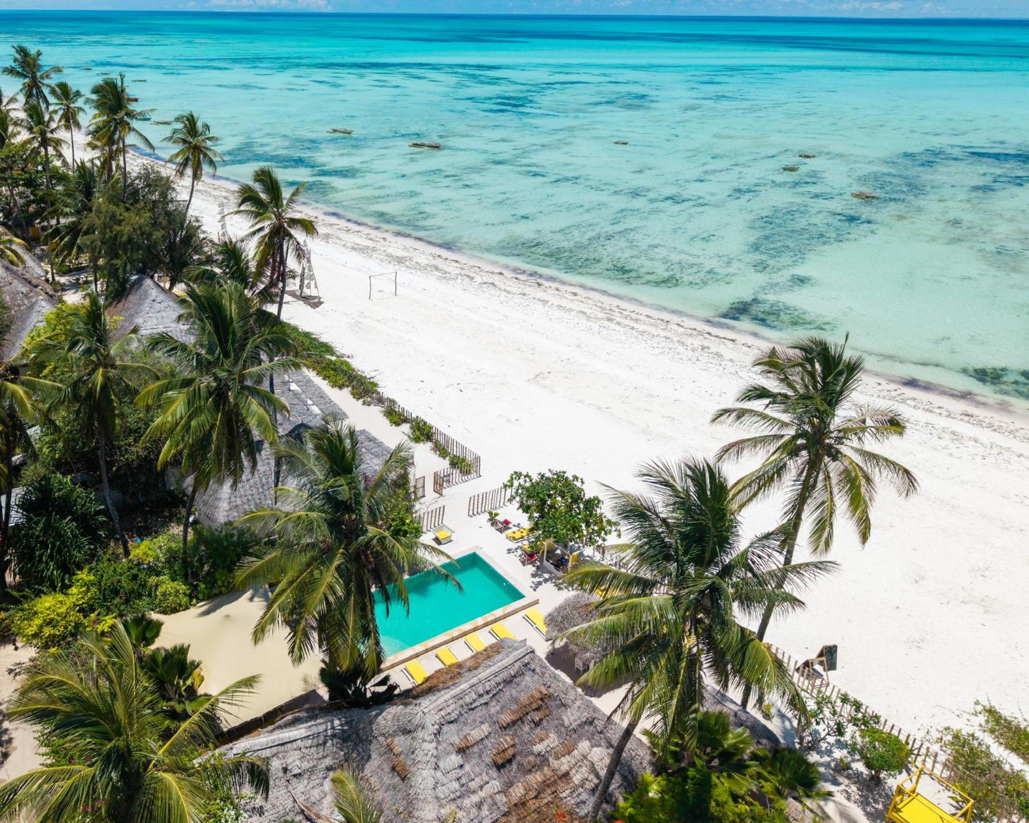 Pili Pili Palm Beach Jambiani  Ngoại thất bức ảnh