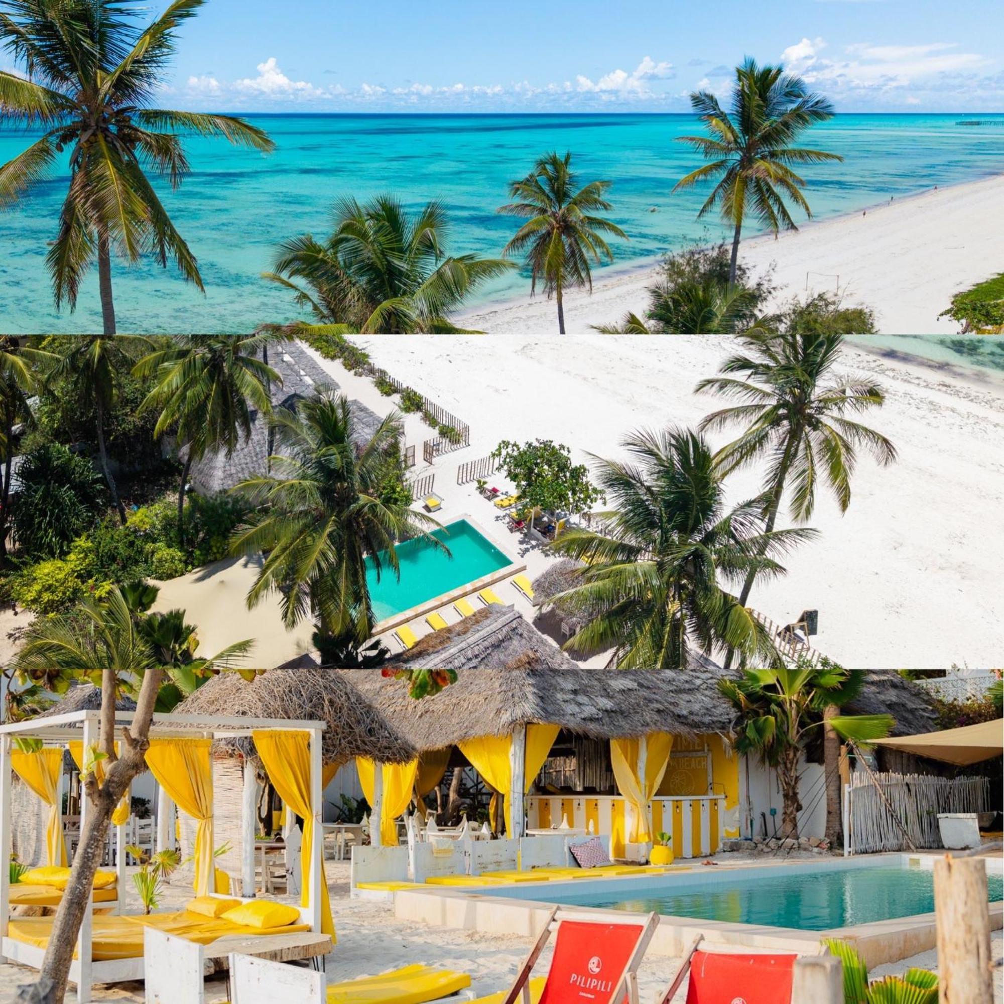 Pili Pili Palm Beach Jambiani  Ngoại thất bức ảnh